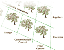 decision orchard